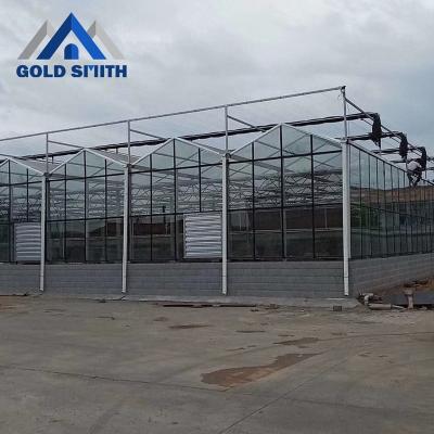 China Smith Factory Customized Steel Structure Fruit Vegetable Gold Flowers Glass Green Bedroom for sale