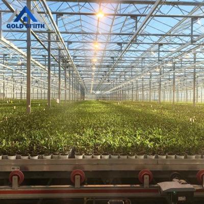 China Hot Dipped Galvanized Automatic Glass Tube Structure Fruit Vegetable Flowers Greenhouse for sale