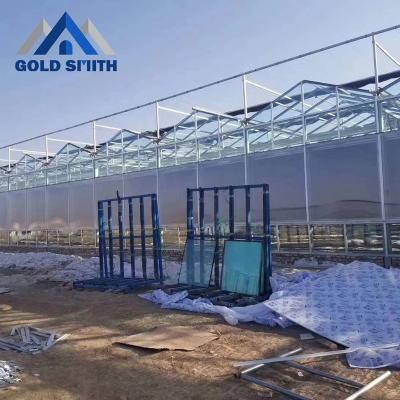 China Fruit Flowers Greenhouse Builder Gold Smith Hot Galvanized Tomato Green Vegetable House for sale