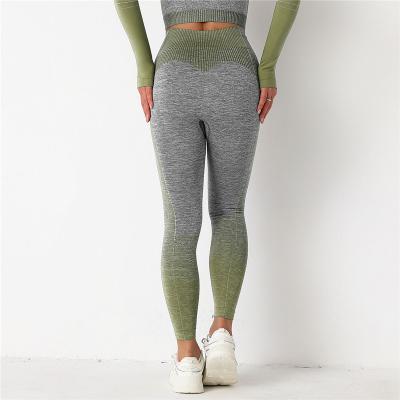 China Amazon Sportswear Running Color Breathable Yoga Leggings Hot-selling Quilting Gaiters In 2021 for sale