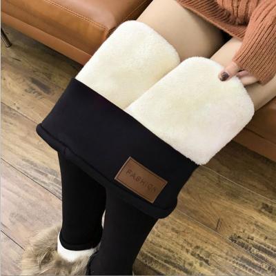 China Women's Ski Gaiters Fleece Wool Velvet Trousers Warm Breathable Lambskin Skinny Thick Trousers Cashmere Gaiters for sale