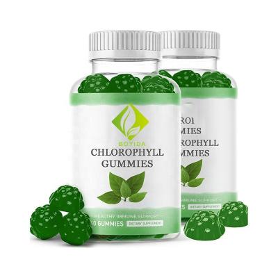 China immune & Custom Bulk Anti-Fatigue OEM Probiotics Vegan Organic Chlorophyll Gummies For Fresh Breath Total Detox Diarrhea Promote Digestion for sale