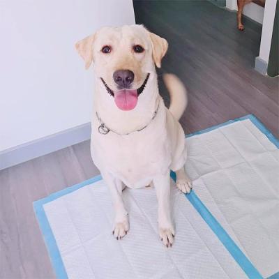 China OEM Nonwoven Disposable Bamboo Pet Pee Pad Charcoal Pads Training Puppy Training Pads 50 Pieces for sale