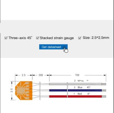 China Ruijia Bridge Strain Gage Sensor Self-Compensated for Temperature Creep Measurement zu verkaufen