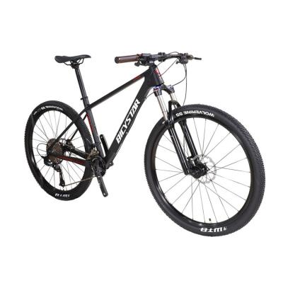 China Hot sale high quality cheap price 29 inch 21 speed box custom carbon fiber frame mountain bike mtb bicycle for sale