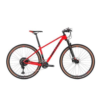 China Customizable carbon fiber factory direct sale variable 2*12 speed 27.5/29 inch carbon fiber suspension mountain bike for sale