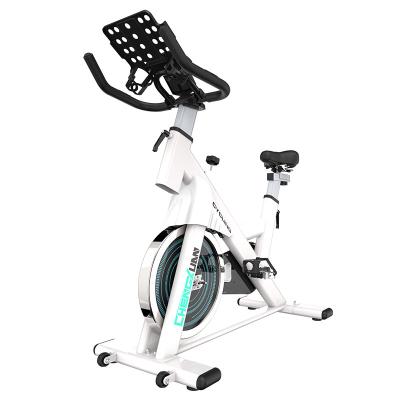 China Home Use High Quality Magnetic Advanced Home Spinning Bike With Rear Seat Support for sale