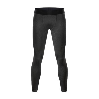 China Anti-Wrinkle Spring And Summer Customized Quick-drying Hot Sale Sports Basketball Gym Pants Bodybuilding Jogging Leggings Men Skinny Tracksuit for sale