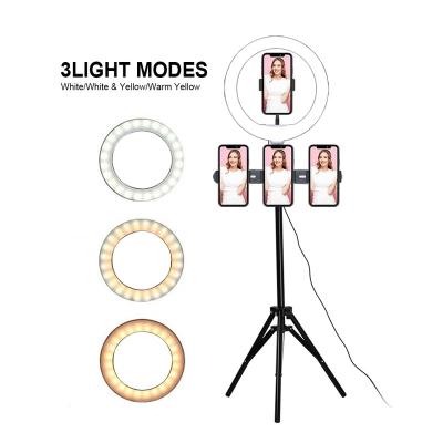 China Shine 10 Inch 3 in 1 Tripod Cell Phone Holder Led Flash Ring Light With Tripod Stand Selfie Fill Light for sale