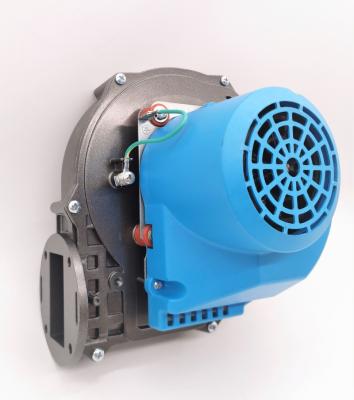 China Radial Gas Blower 110V/230V D-RG148 Combustion Blower Blower Fan Blower Gas Blower for sale