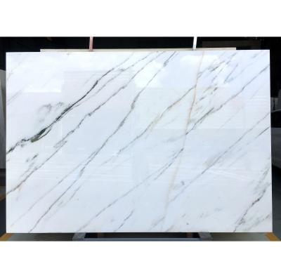 China Modern Luxury Italy Arabescato White Marble Slab For Villa for sale