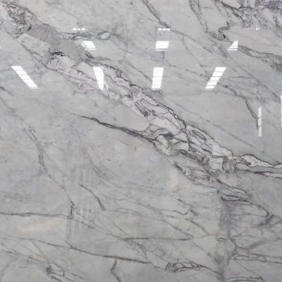 China Modern Chinese Natural Stone Fishbelly Gray Marble Gray Veins Wall Tile 60x60 Slab Flooring for sale