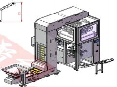 Integrated Weighing And Automatic Packaging System