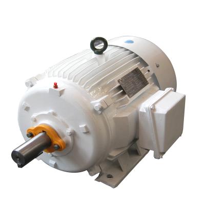 China IP54 New Arrival D Design Three Phase AC Induction High Efficiency Electric Motor for sale