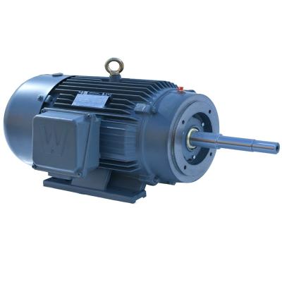 China IP54 Variable Frequency Speed ​​Regulating AC Electric Three Phase Motor for sale