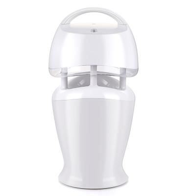 China Newest Arrival 2021 Sustainable Battery USB Rechargeable Electric Fly Slapping Mosquito Killing Lamp for sale