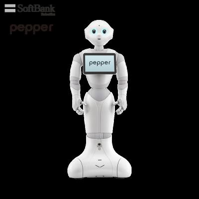 China Smart Control Touch Screen Wifi Softbank Robotics Pepper Multifunction APP White Robot for Public Service for sale