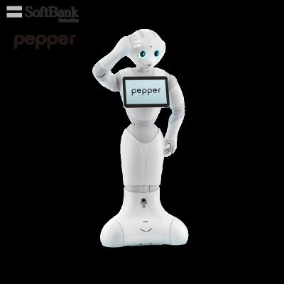 China Intelligent Wifi Softbank Robotics Pepper Smart Robot Humanoid Multi Functions Robot for Commercial, White for sale