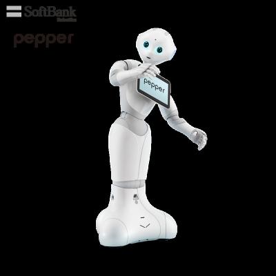 China Wifi Softbank Robotics Humanoid Interactions Front Desk Service Robot Pepper for Advertising and Financial Education for sale