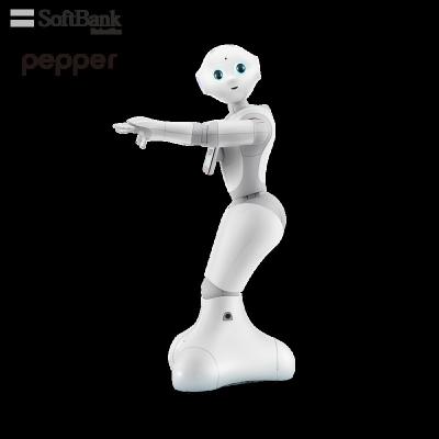 China Smart Control Touch Screen Wifi Softbank Robotics Pepper Multifunction APP White Robot for Public Service for sale