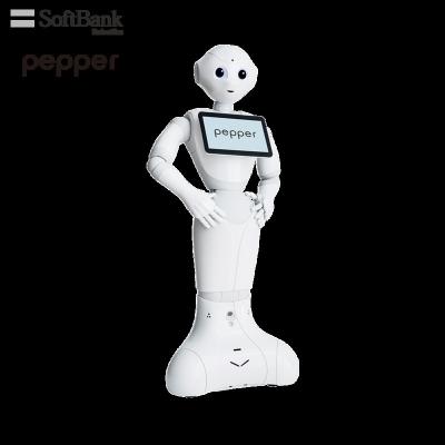 China Wifi Softbank Robotics Pepper, Educational Programmable Learning Toys/Tools for Student and Educator, Smart Robot for Teaching for sale