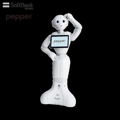 China Wifi Softbank Robotics Pepper, Educational Programmable Learning Toys/Tools for Student and Educator, Smart Robot for Teaching for sale