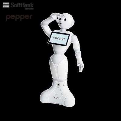 China Wifi Softbank Robotics Pepper, Educational Programmable Learning Toys/Tools for Student and Educator, Smart Robot for Teaching for sale