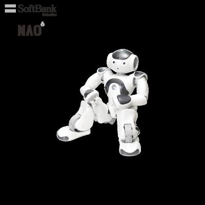 China Wifi Softbank Robotics NAO Smart Programmable Robots for Commercial Customized Solutions, Attract Customers, Advertising and Couponing for sale