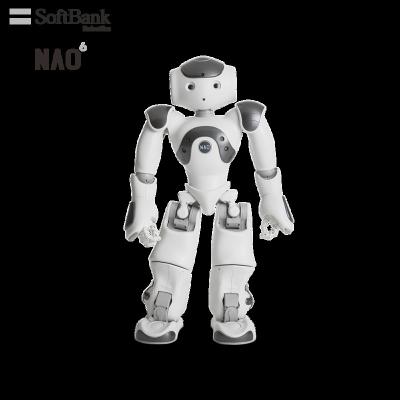 China Wifi Softbank Smart Robotics Technology Kids Toys Robot National Organizer, Programmable Intelligent Humanoid Robot for STEM Education, Commercial for sale