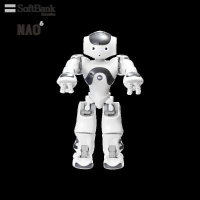 China Wifi Softbank Robotics Educational Smart Robots for STEM K12 and In-Deepth AI Learning Education, Humanoid Small Legged Robot for sale