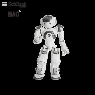 China Wifi Softbank Robotics Educational Smart Robots for STEM K12 and In-Deepth AI Learning Education, Humanoid Small Legged Robot for sale