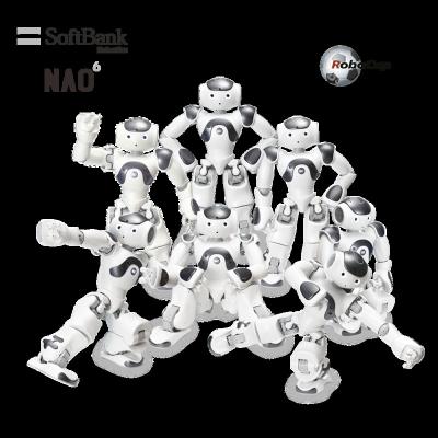 China Wifi Softbank Smart Robotics Robot National Orderly, Programmable Humanoid for Robocup 2022 7 vs. 7 Platform Standard League, Pack of 7 for sale