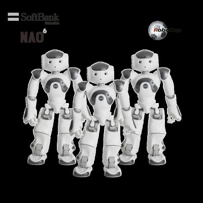 China Wifi Softbank Robotics NAO Legged Humanoid Robot Official Programmable Standard Platform for Global Robocup 3 vs 3 Activities for sale