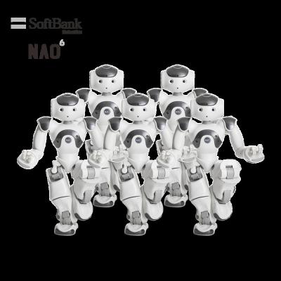 China Wifi Softbank Robotics NAO Legged Humanoid Robot Official Programmable Standard Platform for Global Robocup Activities for sale