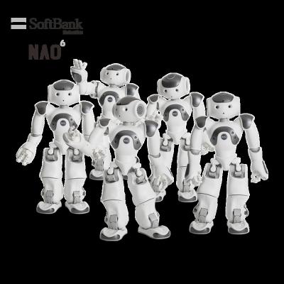 China Wifi Softbank Smart Robotics Robot National Organizer, Programmable Humanoid for Robocup 2022 Standard Platform League, Pack of 5 for sale