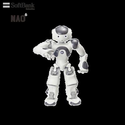 China Wifi Softbank Official Programmable Standard Robotics SBR Cup Platform, Autonomous Learning Smart Legged Humanoid Football Robot NAO for sale