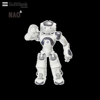 China Wifi Softbank Robots Educational Humanoid Intelligent Smart National Controller with Multi Functions, Voice Remote Control Programmable Interactive for sale