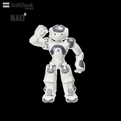 China Wifi Softbank Humanoid Robot National Orderly, Open Platform AI Research for Education, University, Science Lab, Programmable Rootable System for sale