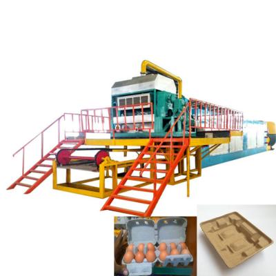 China Egg Container Egg Trays Marking Drier Machine Paper With Different Mold for sale