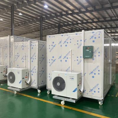 China Container Fruit Banana Ripening Cold Room Banana Machine Cold Storage Ripening Room for sale