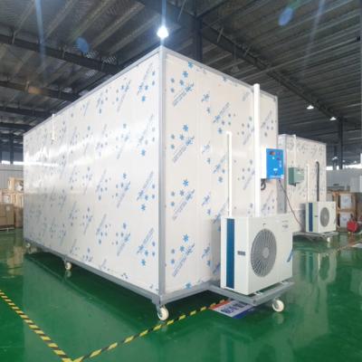 China Hot Sale Container Shrimp Freezing Equipment Walk In Freezer Cold Room for sale