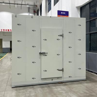 China Automatic Container Walk In Freezer Keeping Freeze Room Freezing Room for sale