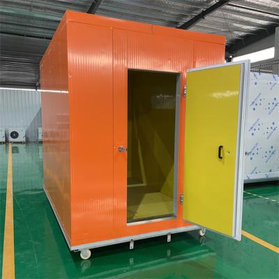 China Commercial Container Cold Room Price 20ft Container Walk In Freezer Cold Storage Unit Blast Refrigeration For Meat Fish Vegetables for sale