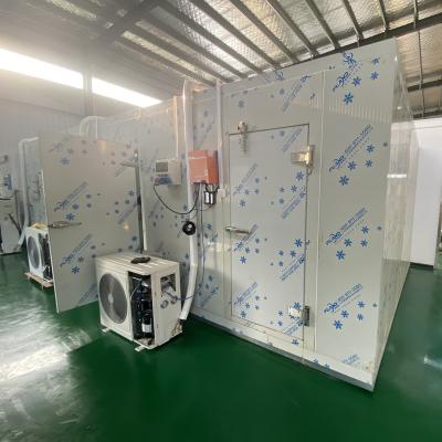 China Container Customs Refrigeration Cold Rooms, Walk In Freezer, Cold Storage With PU Hinge Door for sale