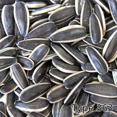 China Large Nutritious Particle Size 363 25KG/Bags High Quality Chinese Sunflower Seeds Dried Sunflower Seed Cheap Sunflower Seeds for sale