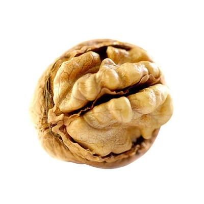 China / Manufacturers Direct Selling 100% Healthy and Best Walnuts Supplements to Rate Thin Skin Walnuts for sale