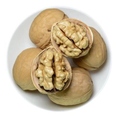 China Fresh New Arrival Low Price Wholesale Delicious Walnut Kernels 28-32mm Organic Walnuts for sale