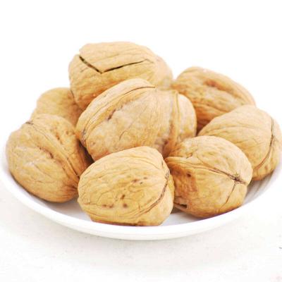 China Wholesale Fresh High Quality Grain Shell Walnuts Extra Light Halves Thin Walnut Kernel for sale