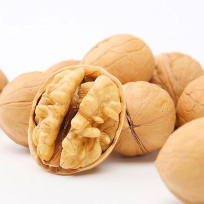 China / High Quality Shell Bulk Big Size Raw Peeled Walnut Paper Kernel Roasted Walnut Kernel for sale