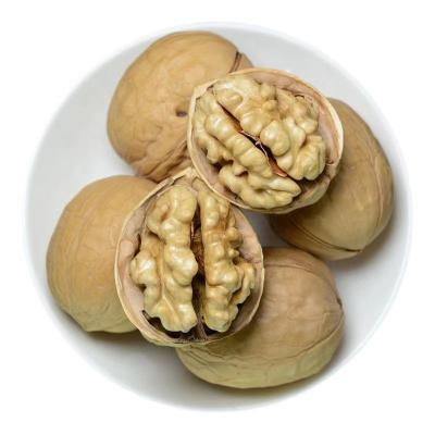 China Fresh Tasty Snacks Chinese Dried Walnut In Shell Walnut Kernel Price 2023 Walnut With Shell for sale